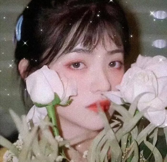 一曲倾情